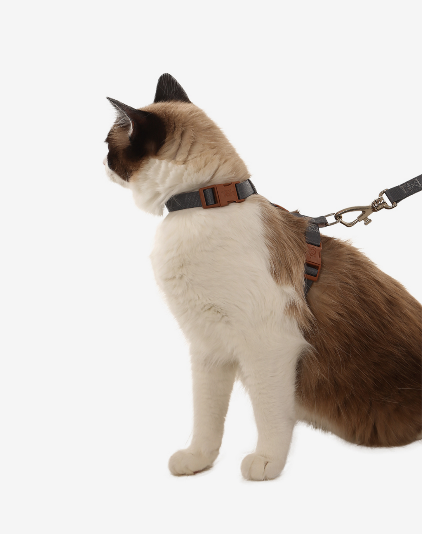 Cat H Harness + Leash Graphite - Khaki