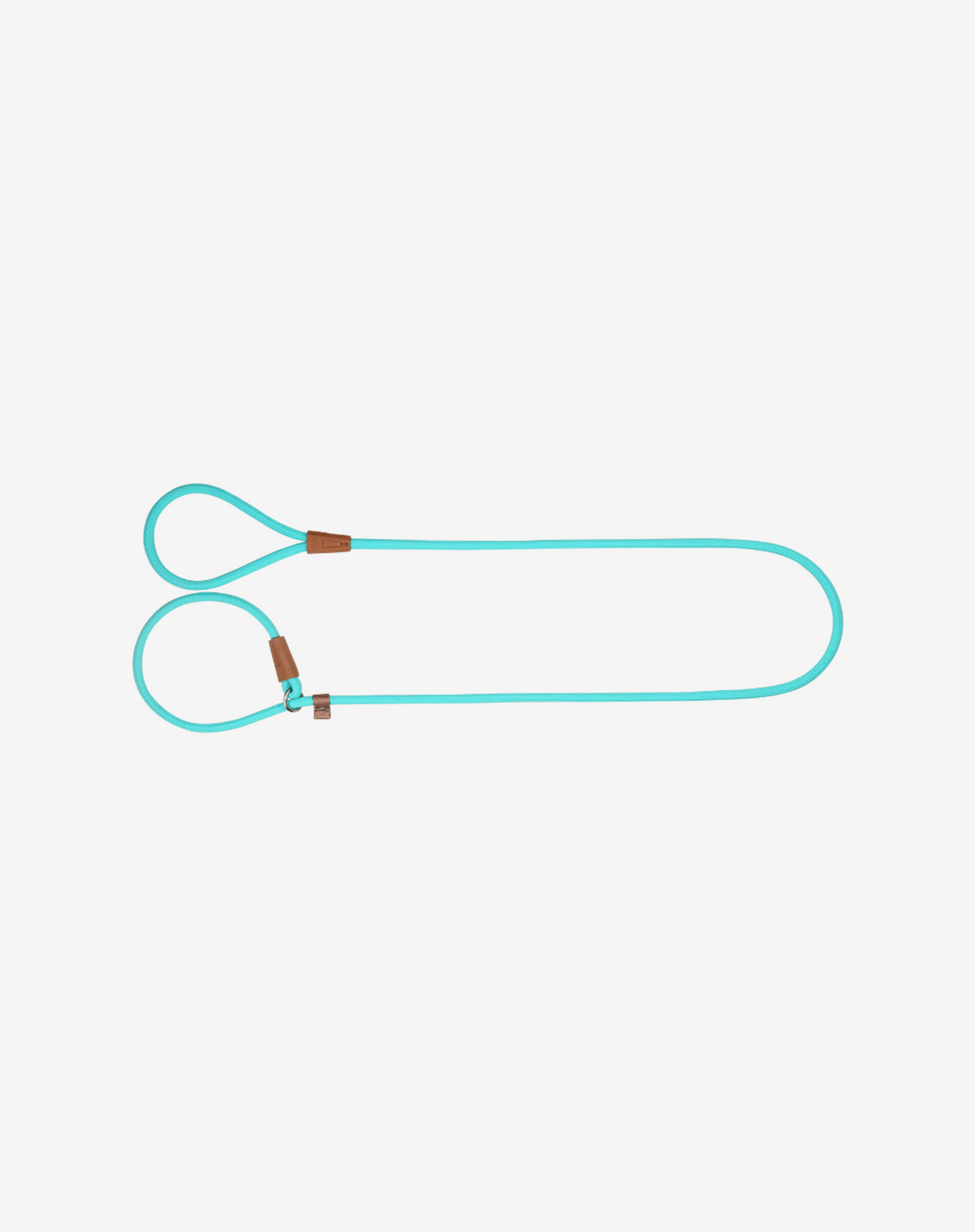 Rope Slip Dog Lead Turquoise