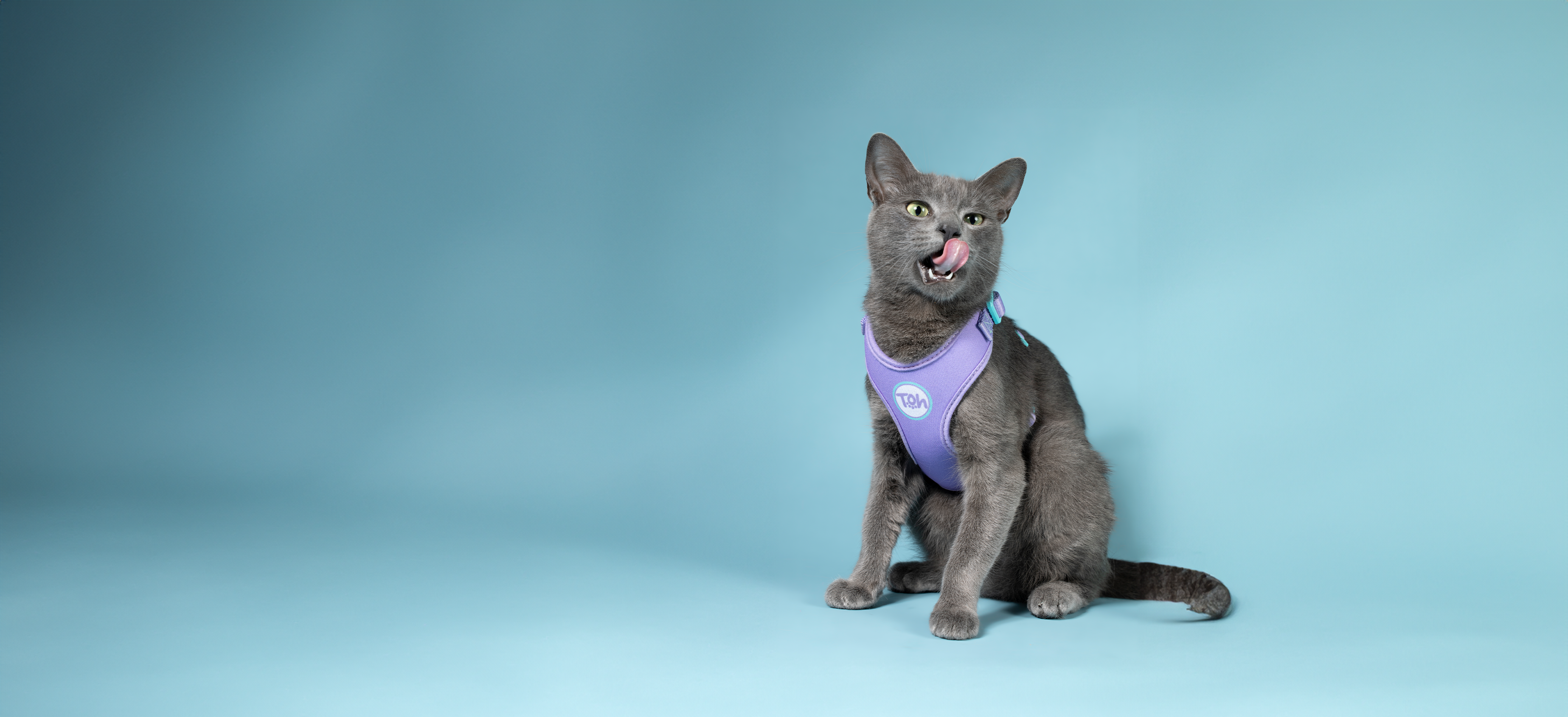 H Neo Cat Harness + Leash
