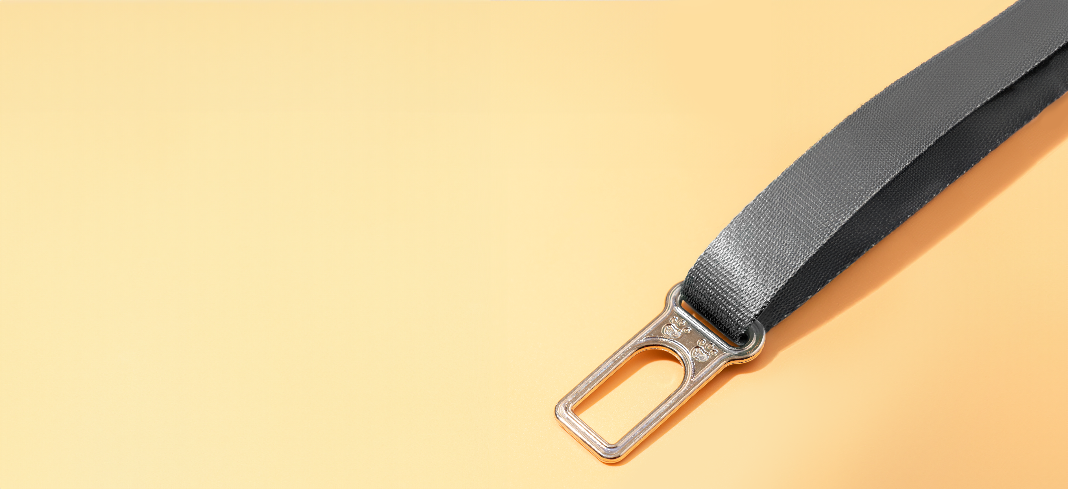 Seat Belt Dog Tether