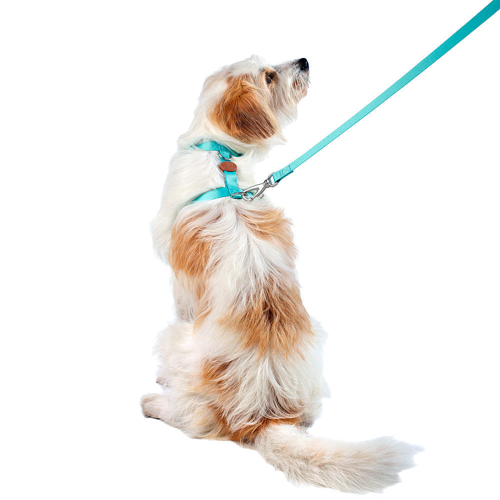 The H-Harness + Leash Set Maresia