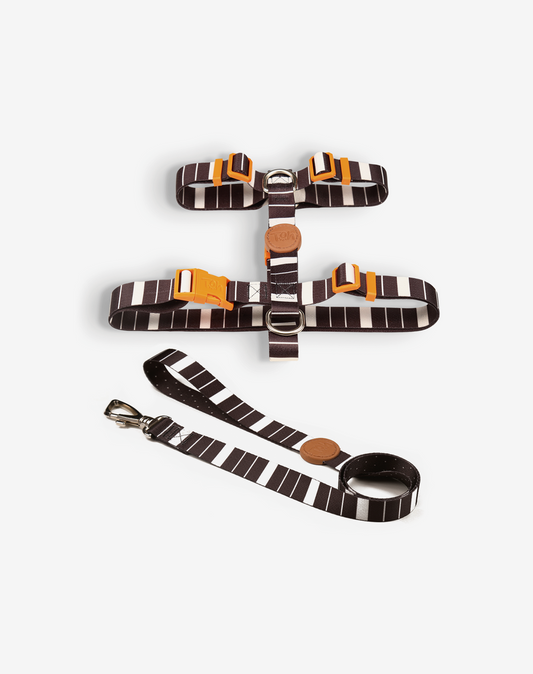 The H-Harness + Leash Set Eclipse