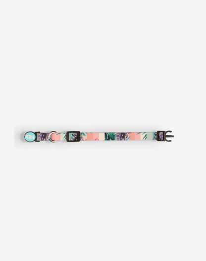 Cat Collar Laguna