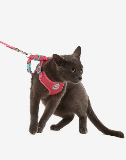Cat H-Harness Comfort + Leash Set Fiji