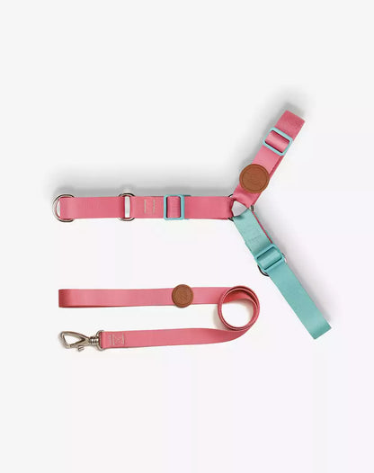 No Pull Dog Harness and Leash Set Fiji