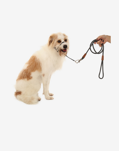 1.20m Rope Dog Leash Graphite