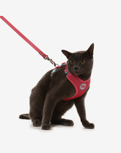 Cat H-Harness Comfort + Leash Set Fiji