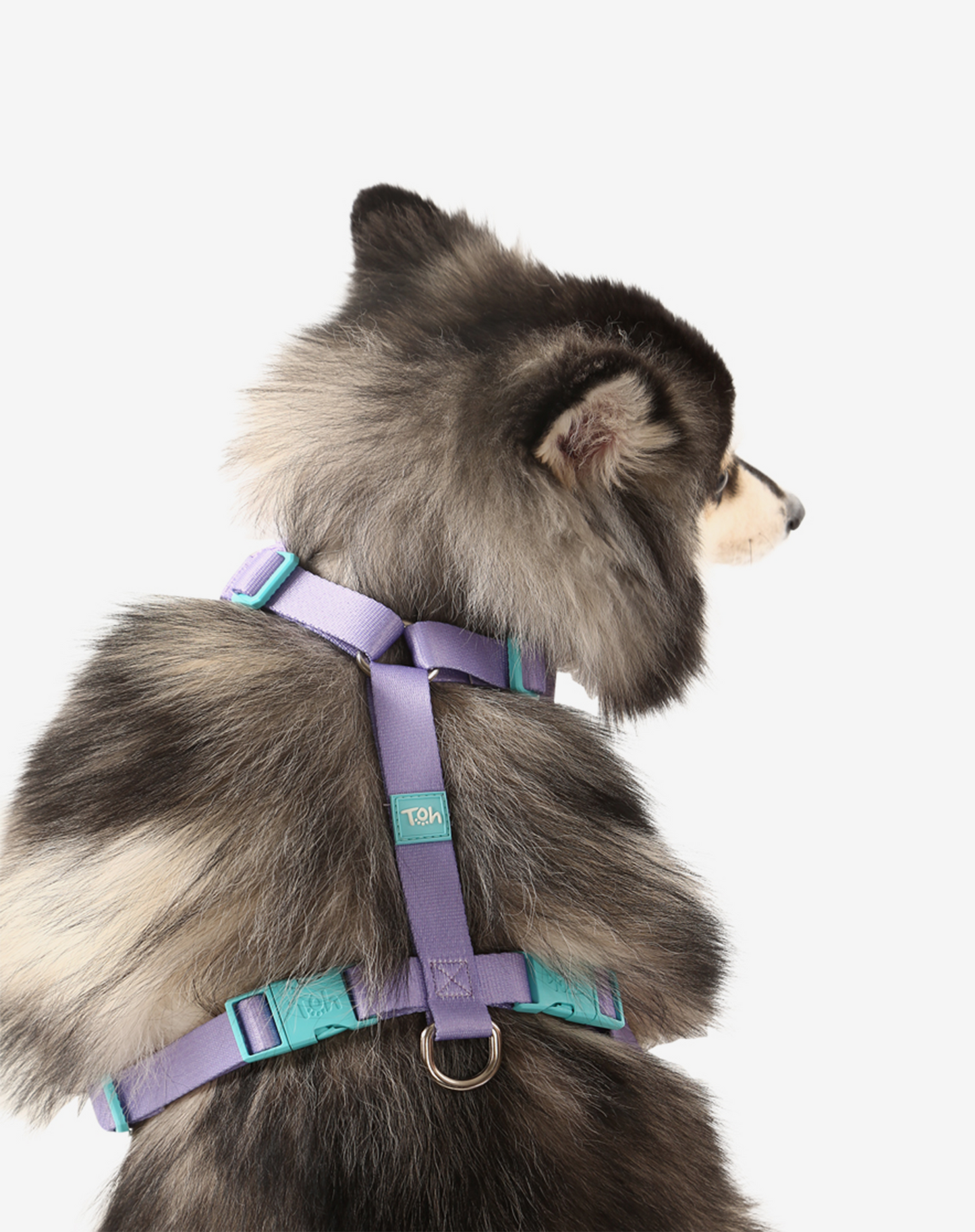 H-Mesh Dog Harness Lilac
