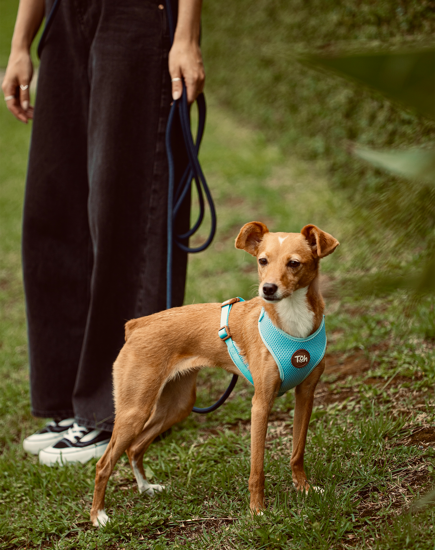 Rope Long Dog Leash 17ft - Navy Blue