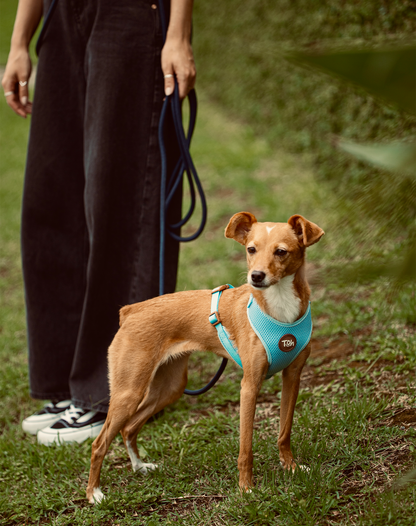 Rope Long Dog Leash 17ft - Navy Blue