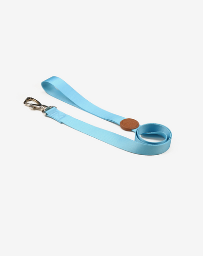 Dog Leash S Blue