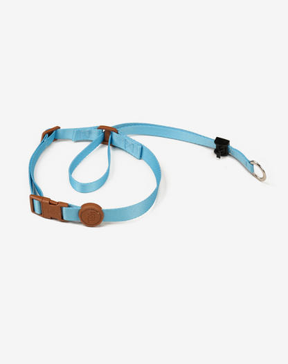 Dog Headcollar Blue