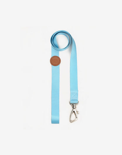 Dog Leash S Blue