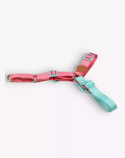 No Pull Dog Harness and Leash Set Fiji