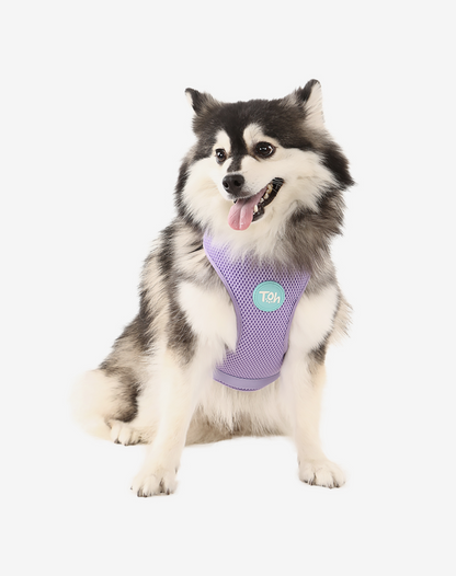 H-Mesh Dog Harness Lilac