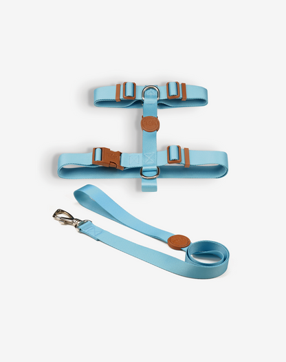 The H-Harness + Leash Set Blue