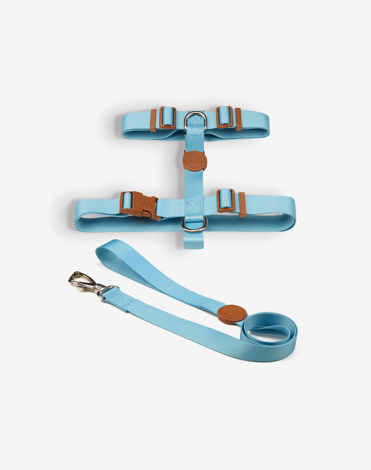 The H-Harness + Leash Set Blue