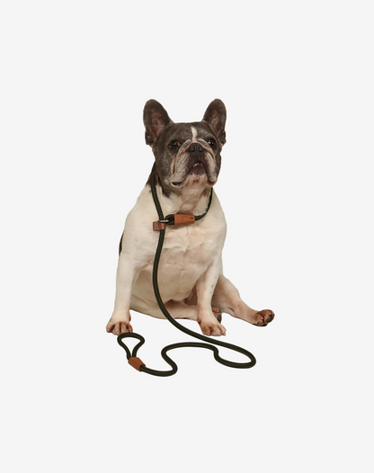 Rope Slip Dog Lead Moss