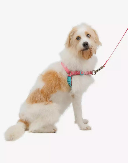 No Pull Dog Harness and Leash Set Fiji