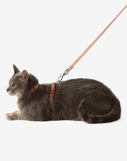 Cat H Harness + Leash Khaki - Khaki
