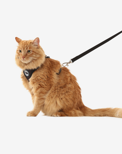 Cat H-Harness Comfort + Leash Set Black