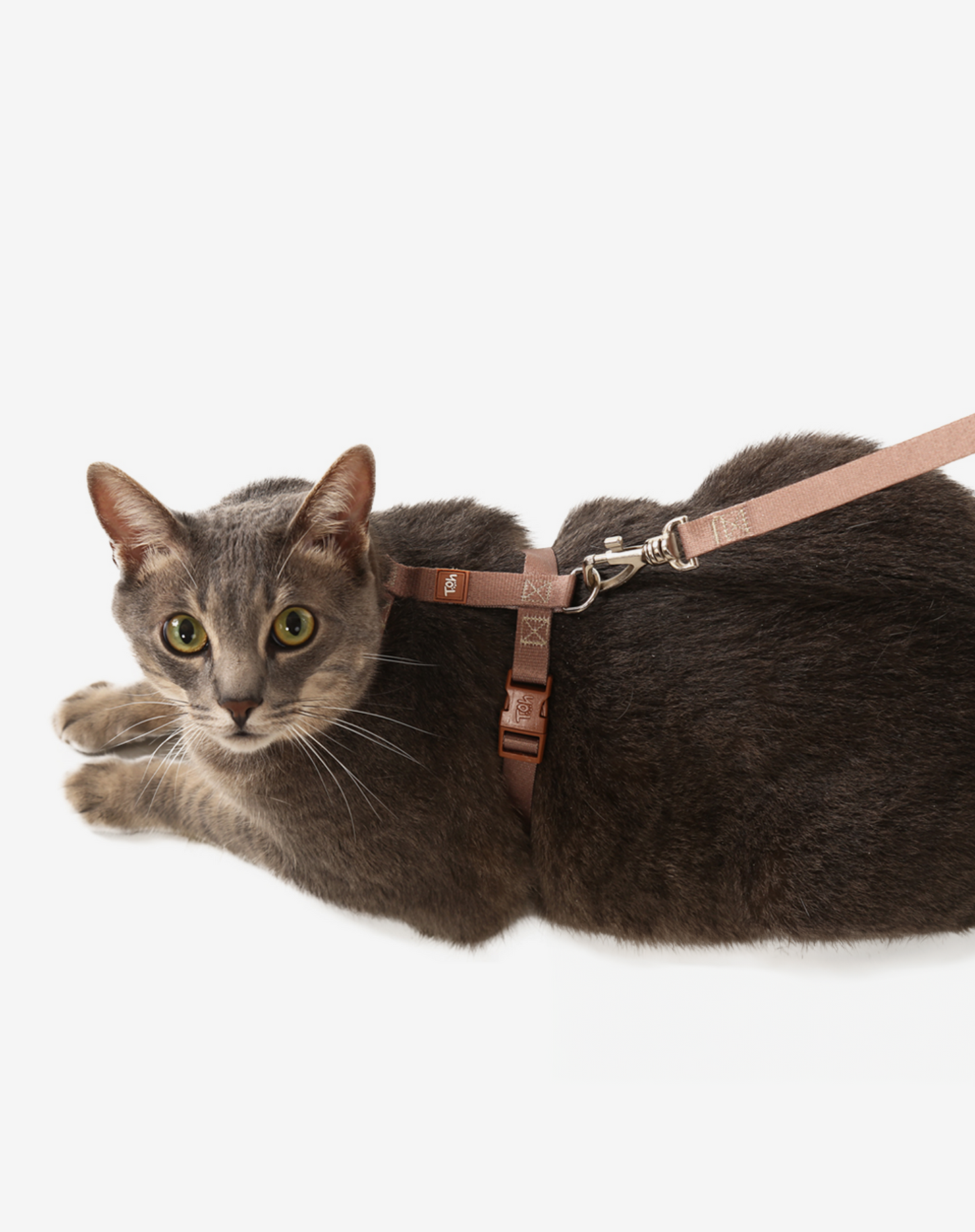 Cat H Harness + Leash Khaki - Khaki