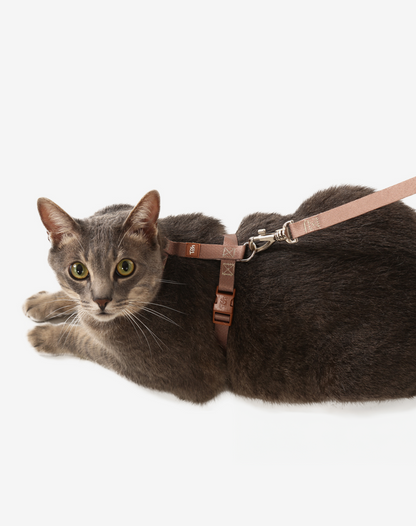Cat H Harness + Leash Khaki - Khaki