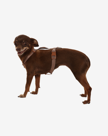 Dog H Harness Khaki - Khaki
