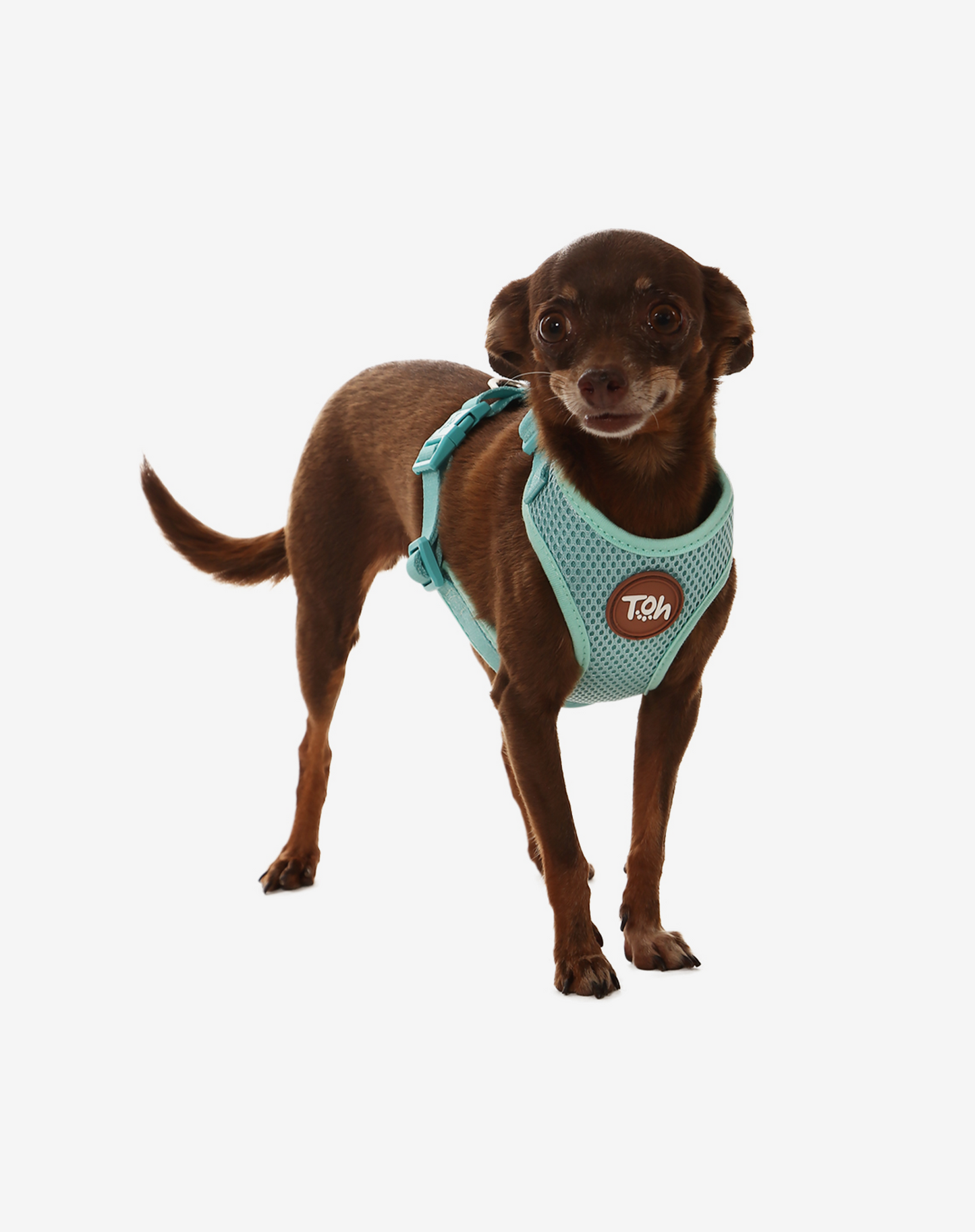 H-Mesh Dog Harness Maresia