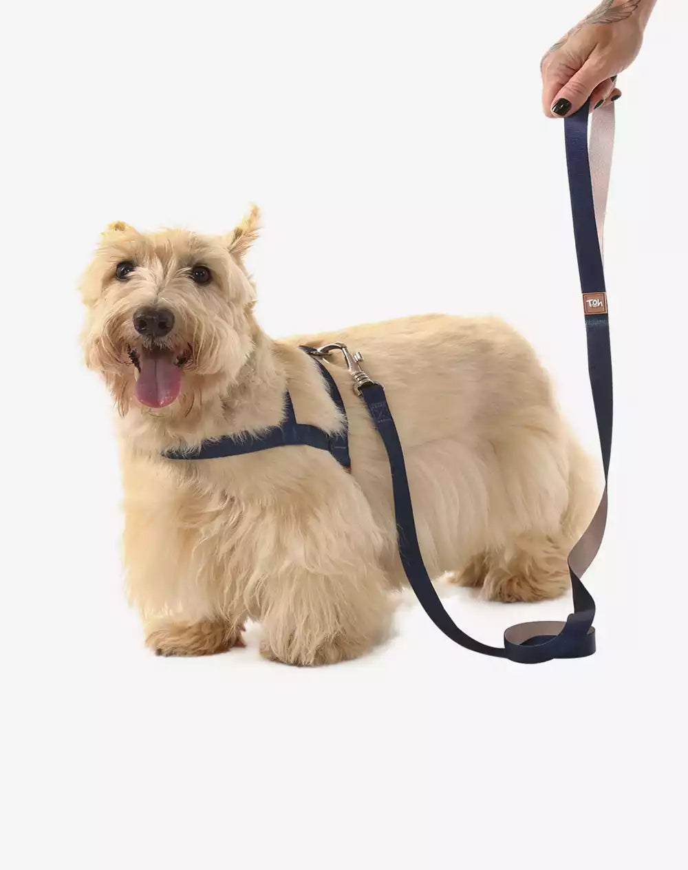 Dog Leash Basic Collection 1,20m Navy Blue - Khaki
