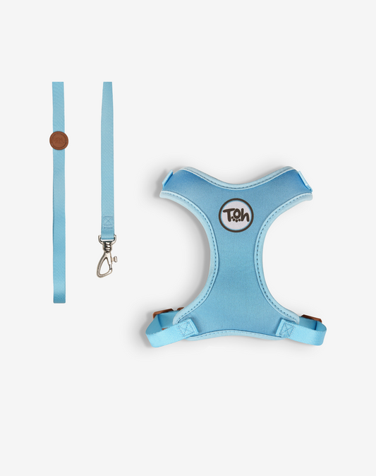 Cat H-Harness Comfort + Leash Set Blue