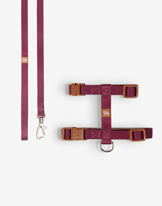 Cat H Harness + Leash Burgundy - Khaki