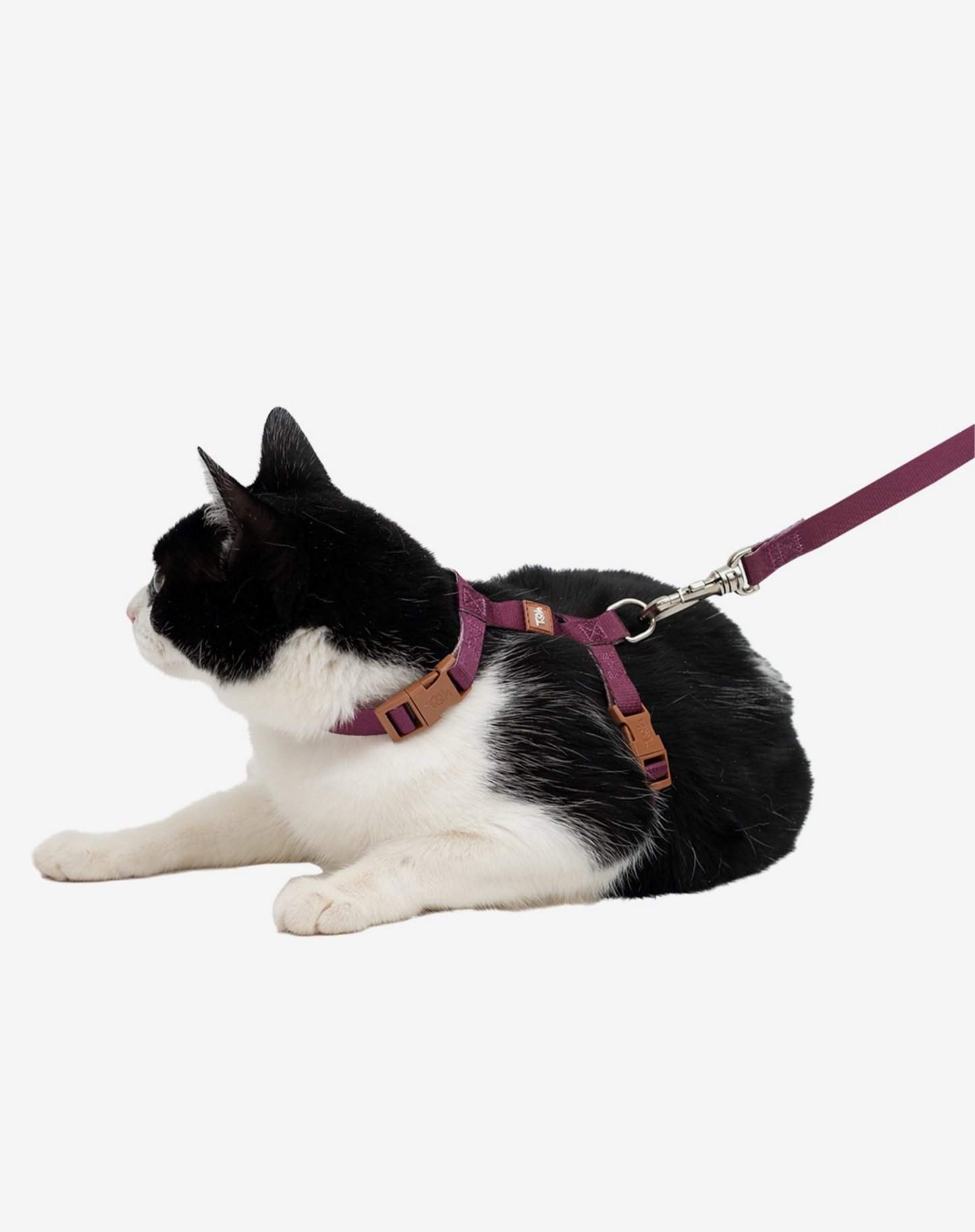 Cat H Harness + Leash Burgundy - Khaki