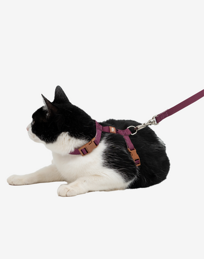 Cat H Harness + Leash Burgundy - Khaki