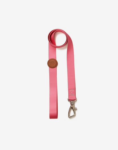 Dog Leash S Fiji