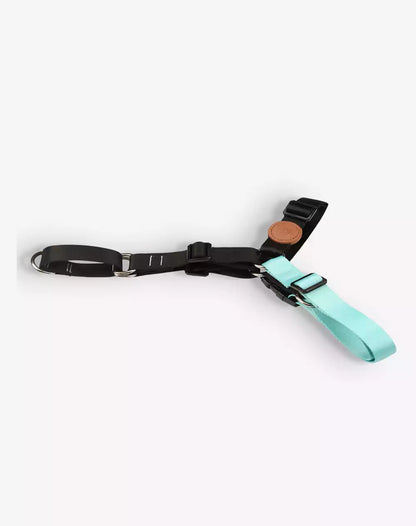 No Pull Dog Harness and Leash Set Black