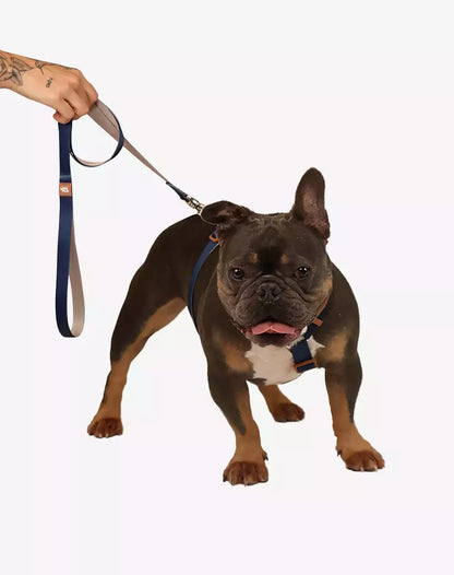 Dog Leash Basic Collection 1,20m Navy Blue - Khaki