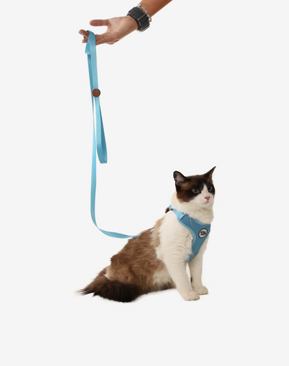 Cat H-Harness Comfort + Leash Set Blue