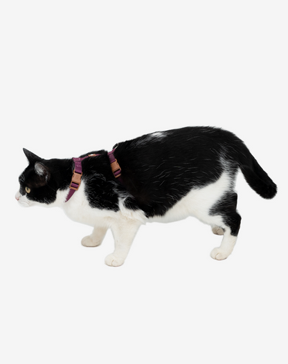 Cat H Harness + Leash Burgundy - Khaki