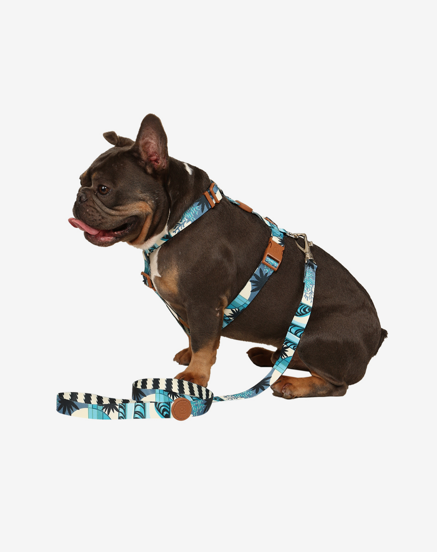 The H-Harness + Leash Set Noronha