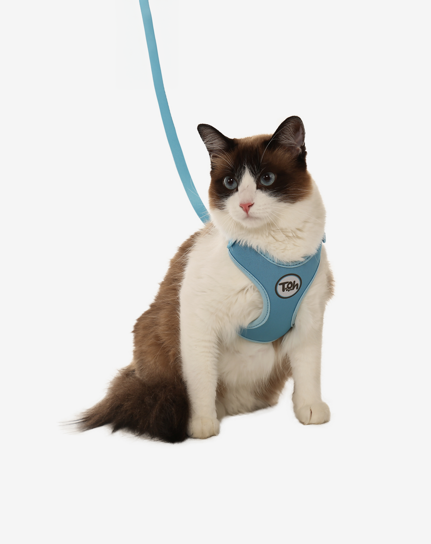Cat H-Harness Comfort + Leash Set Blue