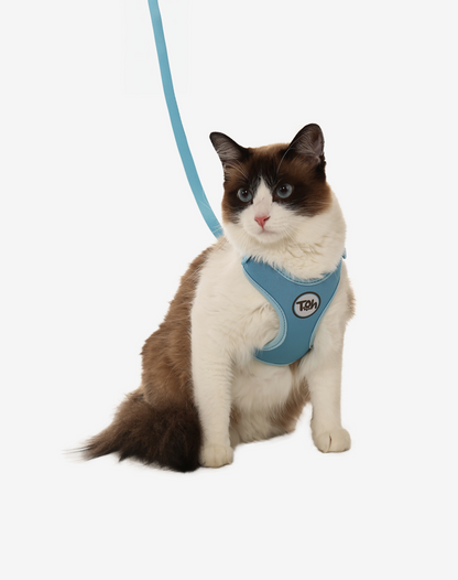 Cat H-Harness Comfort + Leash Set Blue