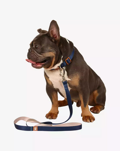 Dog Leash Basic Collection 1,20m Navy Blue - Khaki