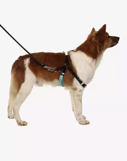 No Pull Dog Harness and Leash Set Black