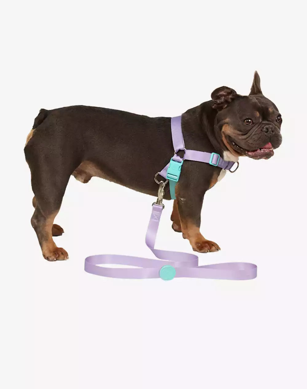 No Pull Dog Harness and Leash Set Lilac