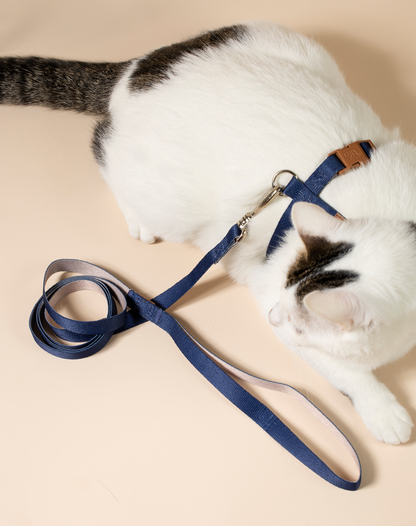 Cat H Harness + Leash Navy Blue - Khaki