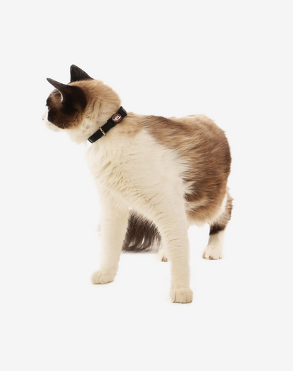 Cat Collar Black
