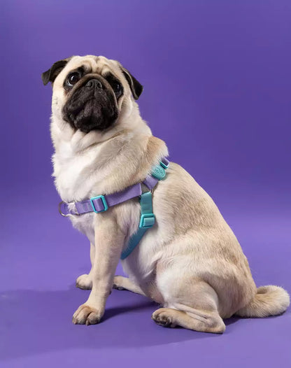 No Pull Dog Harness and Leash Set Lilac