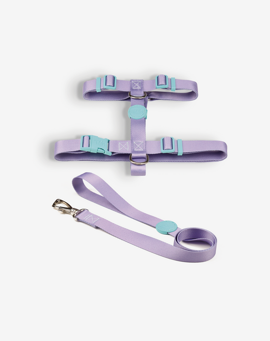The H-Harness + Leash Set Lilac
