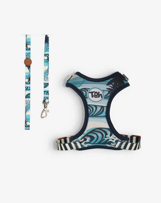 Cat H-Harness Comfort + Leash Set Noronha